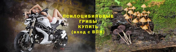 метадон Арсеньев
