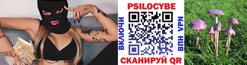 Псилоцибиновые грибы мухоморы  mega маркетплейс  Асино 